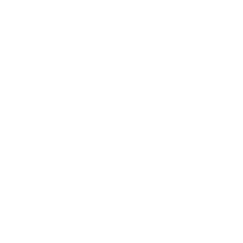 Fynix